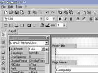 FastReport VCL Screenshot